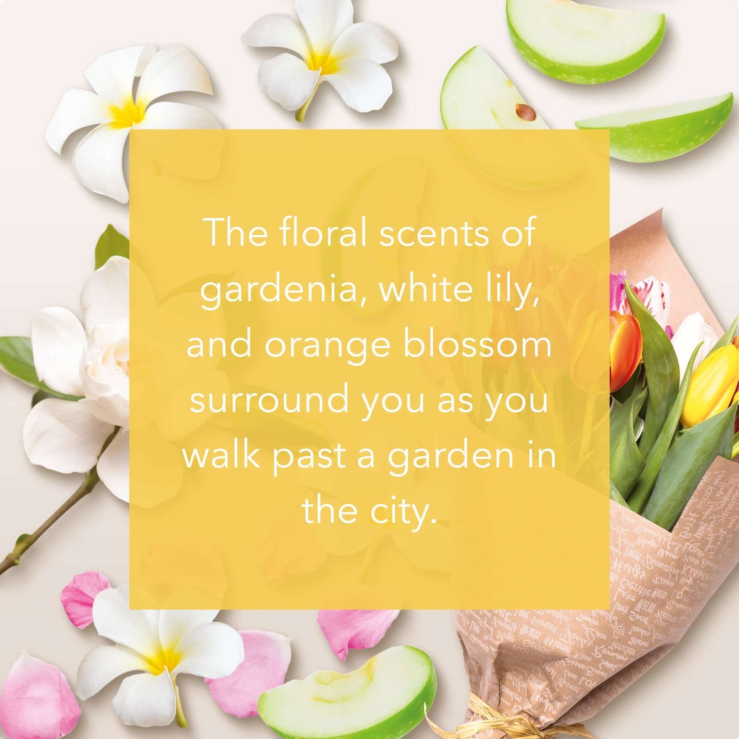 City Blooms Medium Jar The floral scents of gardenia, white lily, and orange blossom surround you as you walk past a garden in the city.