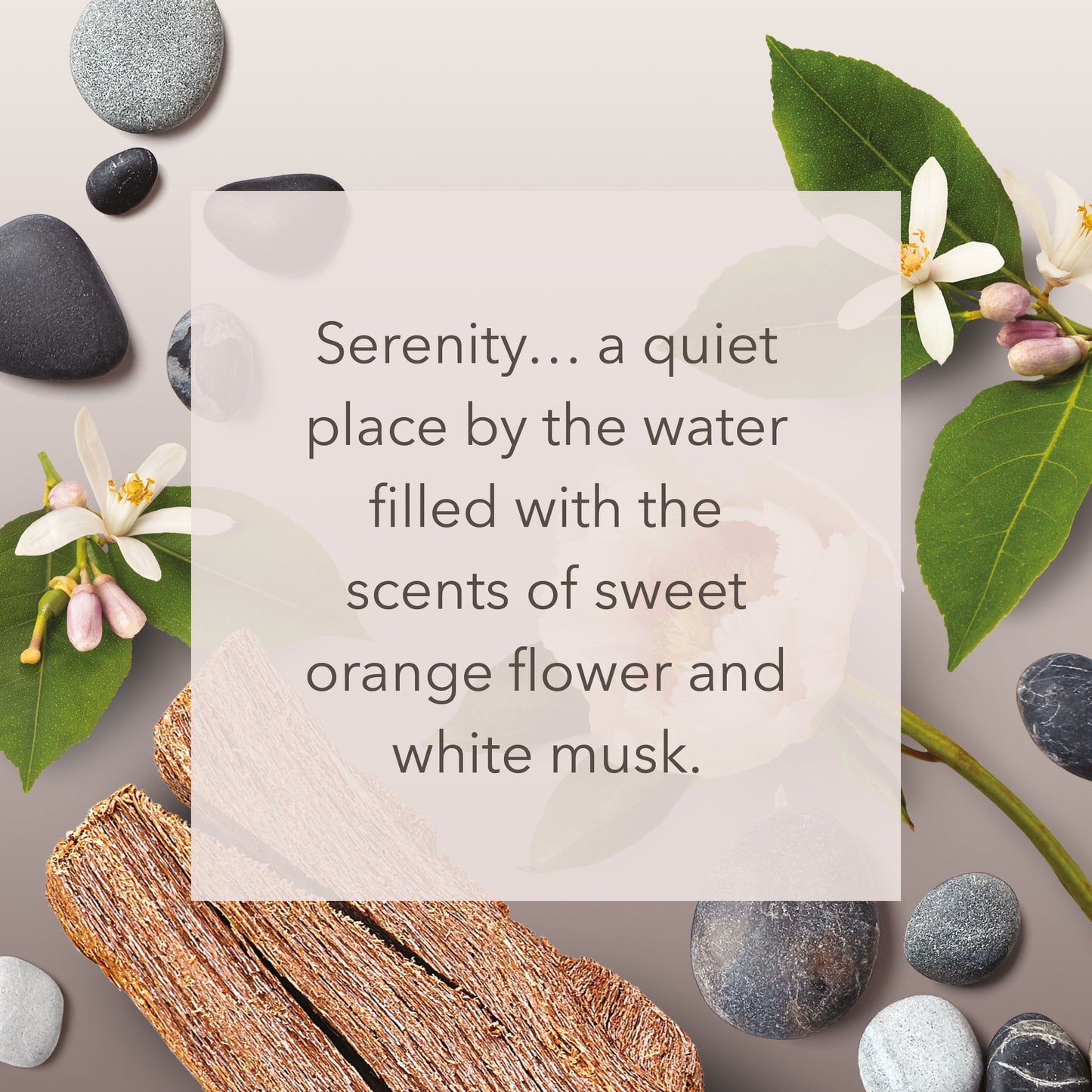Stony Cove Medium Jar Yankee Candle® Home Inspiration® Stony Cove Scented Candle gives you a sense of serenity and relaxation. You will feel the living space as a quiet place by the water filled with the scent of sweet orange blossom and white musk.