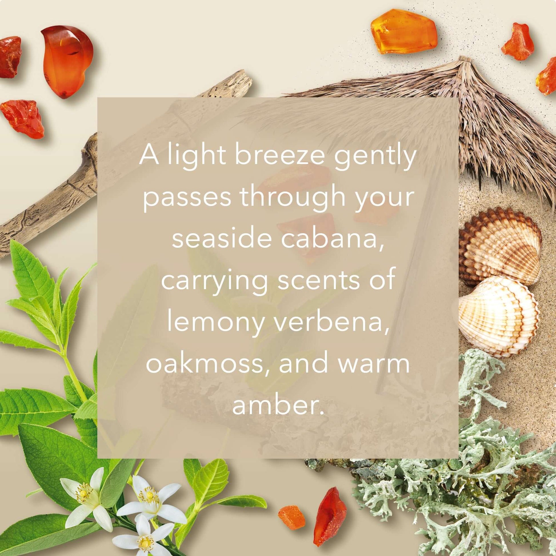 Calming Cabana Medium Jar A light breeze gently passes through your seaside cabana, carrying scents of lemony verbena, oakmoss, and warm amber. 