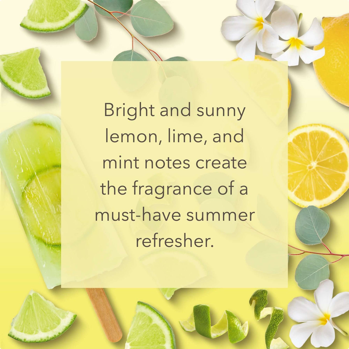 Lemon-Lime Popsicle Small Jar Bright and sunny lemon, lime, and mint notes create the fragrance of a must-have summer refresher. 